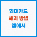 현대카드 해지